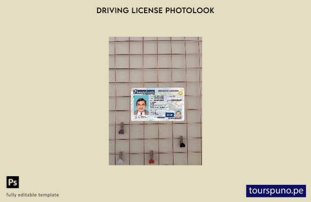 Plantilla FRONTAL lista para imprimir USA Pensylvania DL photolook